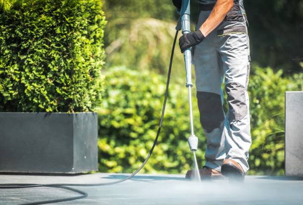 Best Roof Cleaning and Mildew Removal in Hudson, WI